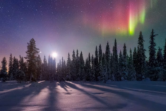 Tranquility Base © Miles Morgan