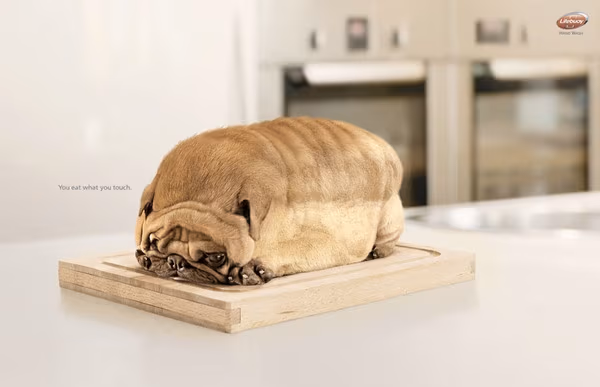 LifeBuoy Hand Wash - You Eat What You Touch