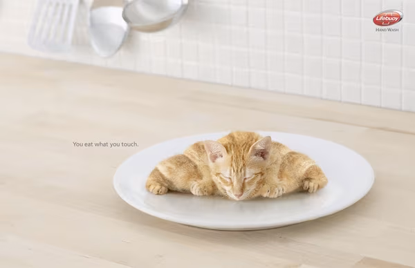 LifeBuoy Hand Wash - You Eat What You Touch