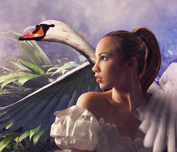 © Przemek Nawrocki
