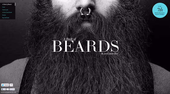 Strona książki - bookofbeards.com